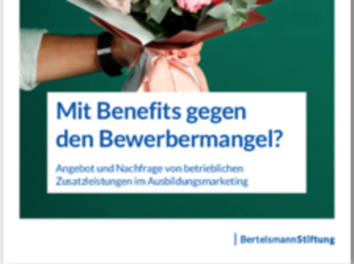 Angebot und Nachfrage von betrieblichen Zusatzleistungen im Ausbildungsmarketing