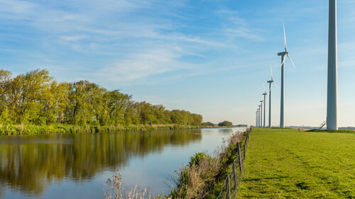 Foto: iStock