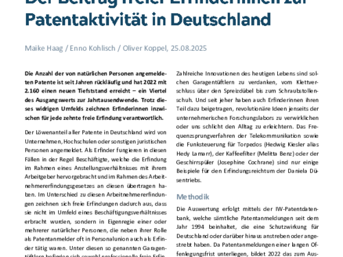 Der Beitrag freier Erfinderinnen zur Patentaktivität in Deutschland