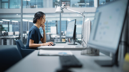 AI Specialists in Public Administration – Needs and Options for Action