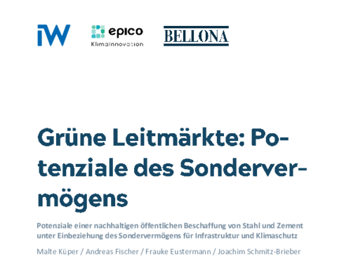 Potenziale einer nachhaltigen öffentlichen Beschaffung von Stahl und Zement unter Einbeziehung des Sondervermögens für Infrastruktur und Klimaschutz