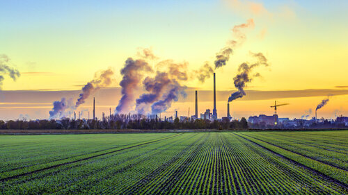 Foto: iStock Umwelt